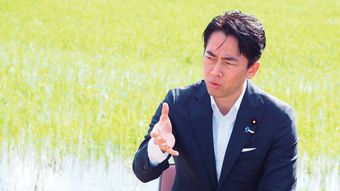 自民党の基盤である農協をぶっ壊す 小泉新大臣のコメ政策が成功したワケ