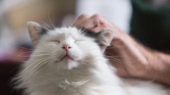 ｢死を前にして何に後悔する?｣余命を告げられた患者の10の切実な吐露から健常者が学べること