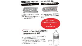減塩でも糖質制限でもない…立命館大教授が｢血管のカチカチ化｣を遠ざけるという"スーパーで買える食材"