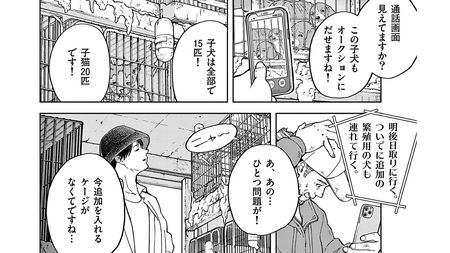 偽の動物保護募金に違法繁殖｡動物を金としか見ていない業者の見極め方とは?『全部救ってやる』第1巻 第3話 ｢コミック『全部救ってやる』｣ |  PRESIDENT Online（プレジデントオンライン）