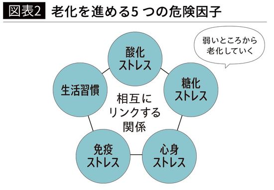 【図表2】老化を進める5 つの危険因子