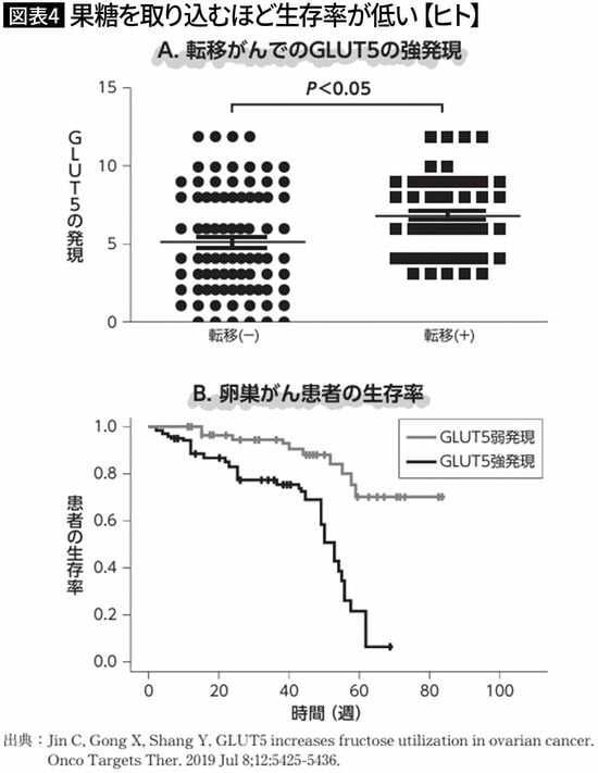 【図表4】果糖を取り込むほど生存率が低い【ヒト】