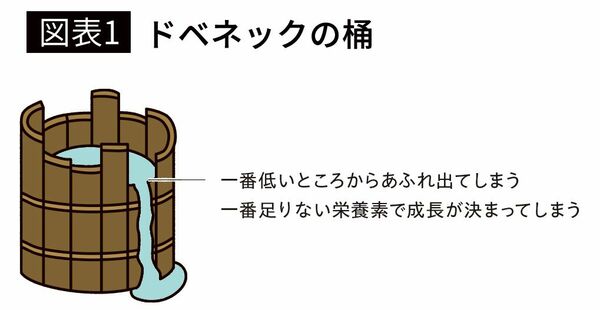 【図表1】ドベネックの桶