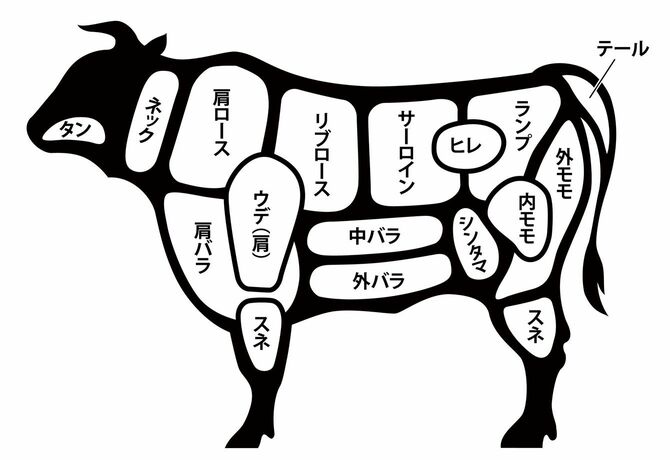 牛肉の部位図解