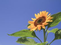 大人の自己主張は“双方Win”が正解！