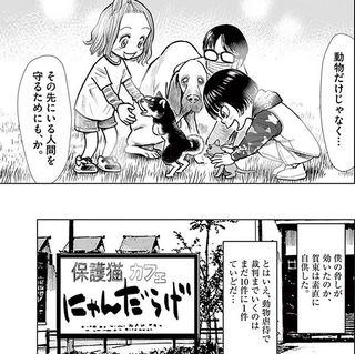 保護猫を虐待した男が 再び現れた 男を追い詰め 動物たちを救え しっぽの声 第4巻 第31話 コミック しっぽの声 President Online プレジデントオンライン