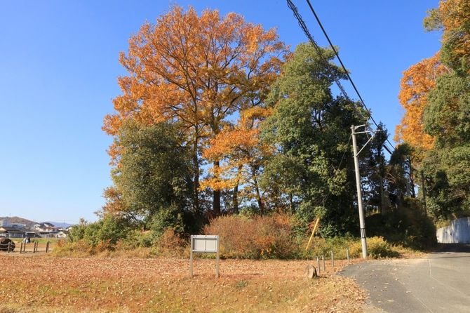 蛙(かわず)が鼻築堤跡