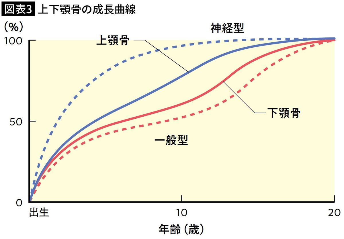 【図表3】上下顎骨の成長曲線