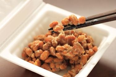 100歳まで頭がスッキリ！ どんどん頭が若返る大豆サポニン