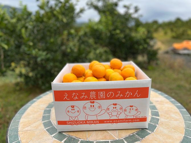 えなみ農園のみかん1箱