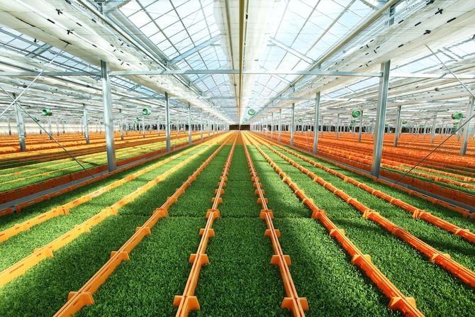 提供＝村上農園 豆苗専用植物工場「山梨北杜生産センター」（山梨県北杜市）。ハウスは、コンピュータ制御で生産を自動化。省力化を実現している。