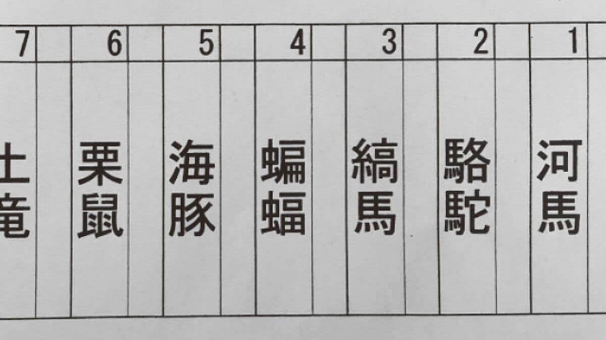 蝙蝠 海豹 は何と読むか 小学校低学年の子にそんなクイズを出す教師の深い意図 道とく とう校 未習の漢字を意地でも使わないルールはおかしい President Online プレジデントオンライン