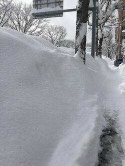 札幌市街地の様子。左側は車道だが除排雪が追いつかず、雪壁で視界がほとんど遮られている（写真＝筆者撮影）