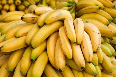 バナナは｢太くてまっすぐ｣が大当たり…フルーツ研究家が教える｢バナナの 