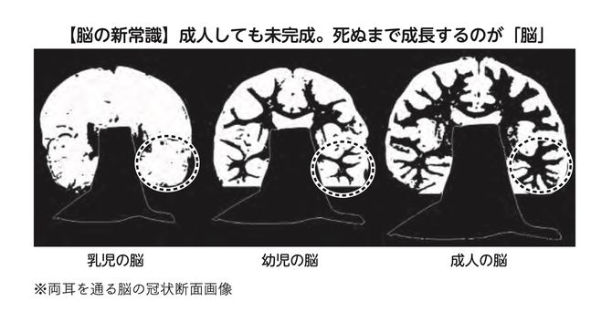 出典＝加藤俊徳『45歳から頭が良くなる脳の強化書』（プレジデント社）