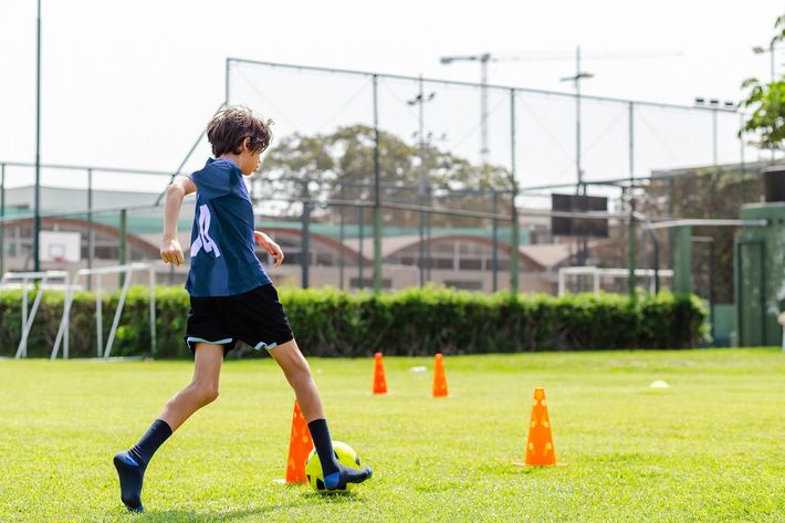 ※写真はイメージです