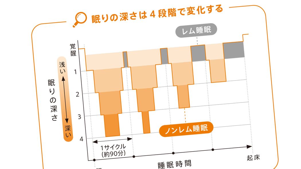 食べてすぐ寝たら疲労はとれない…それでもお腹が空いて眠れない夜に口にするといい"身近な食材" よくおすすめされるホットミルクは万人向けではない