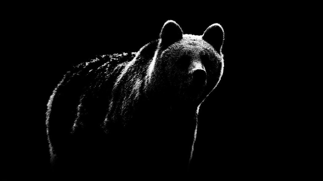 春になると毎年誰かがクマに喰い殺される…北海道を恐怖のどん底に陥れた｢怪物ヒグマ｣の不気味な学習能力