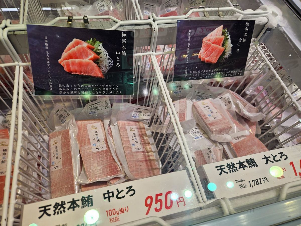 築地場外市場で売られている冷凍本マグロのサク