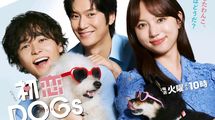 NHK 日テレ フジにはできない…なぜ｢総務省｣がTBS｢VIVANT｣ではなく