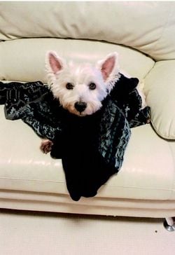 5歳ごろのみんと