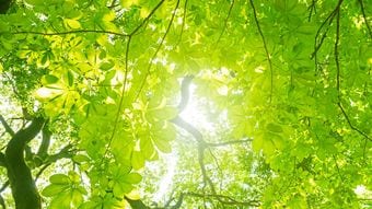 心を整えるキリストの教え｢つらいときこそ､いつもどおり｣