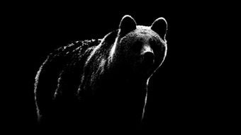 春になると毎年誰かがクマに喰い殺される…北海道を恐怖のどん底に陥れた｢怪物ヒグマ｣の不気味な学習能力