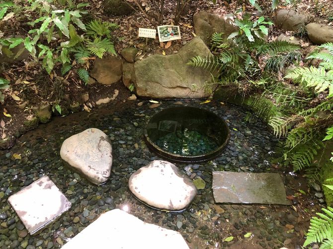 明治神宮御にある清正井