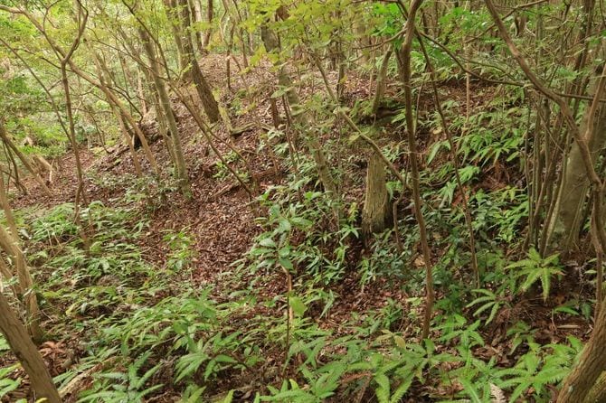 付城北端の土塁