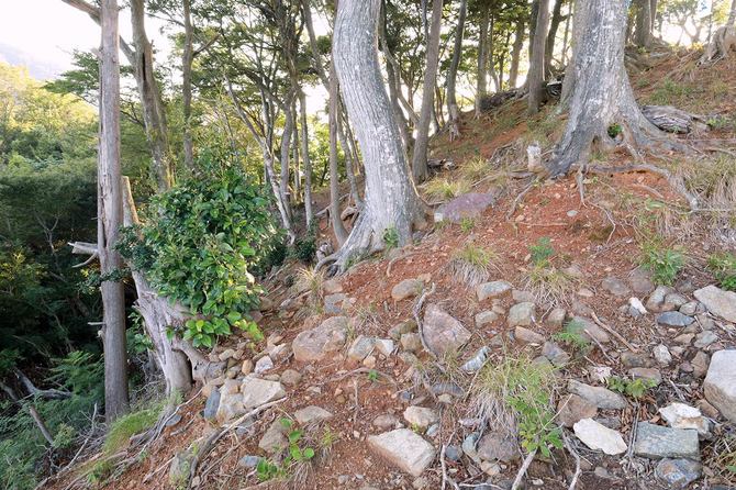 本丸東虎口そばの石垣跡