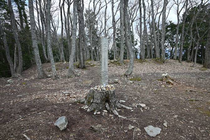 本丸。木はほとんどがクヌギ。