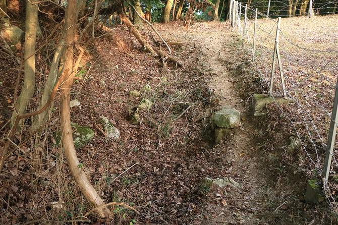 「貯水」を真横から