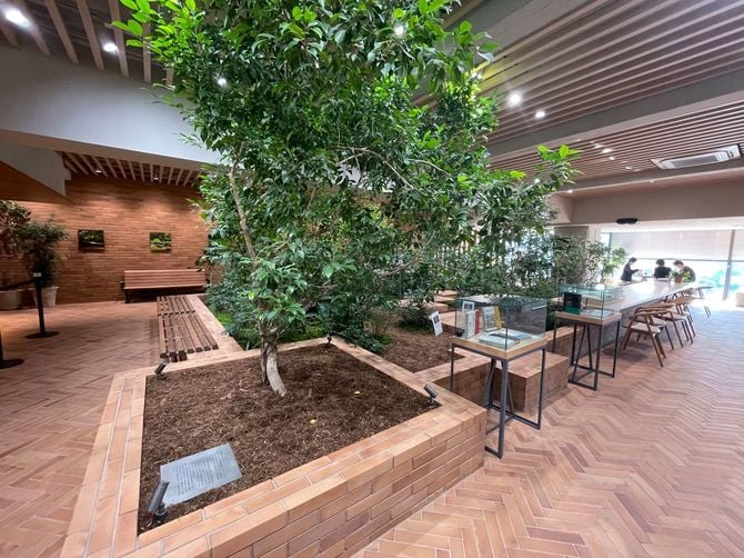 メディアドゥのパレスサイドビル本社内は緑豊か