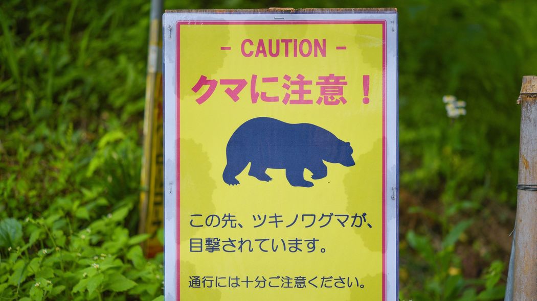 年間300万人訪れる高尾山でもクマ出没…東京都が公表する｢くまっぷ｣でわかる｢目撃情報多数｣の要注意エリア 昨年は都内で211件のツキノワグマの目撃情報