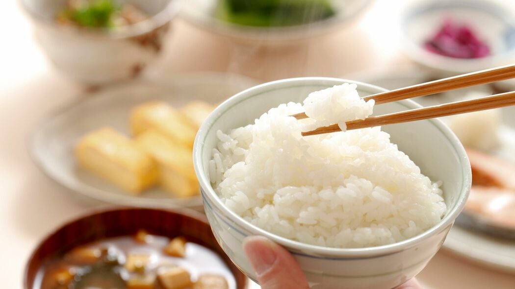 朝食は｢パン｣と｢ごはん｣どちらが正解か…290人の子どもを調べた東北大の研究でわかった"知能の差"