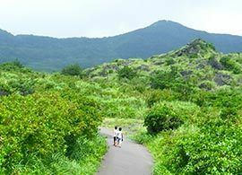 休日・休暇　－「夏休み」は労働者の権利か？