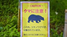 年間300万人訪れる高尾山でもクマ出没…東京都が公表する｢くまっぷ｣でわかる｢目撃情報多数｣の要注意エリア