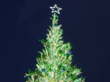 すてきな男性が大量にフリーになる？ クリスマス前こそ強気で婚活を！