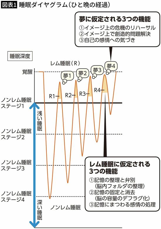【図表1】睡眠ダイヤグラム（ひと晩の経過）