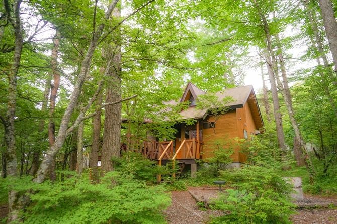 森に囲まれたコテージ