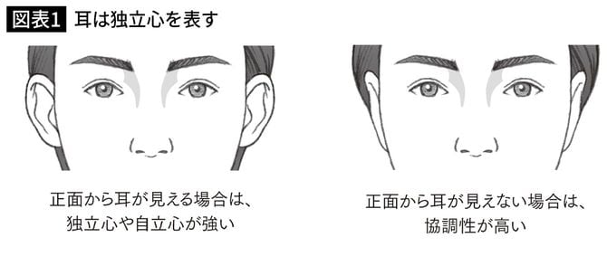 耳は独立心を表す