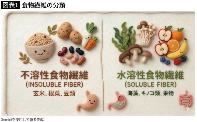 【図表1】食物繊維の分類