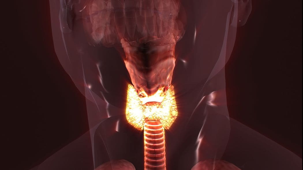 喉･食道･声帯を取ったがん闘病男性YouTuber…一度も会ってない人と動画で恋に落ちた女性の奇跡の献身 肺塞栓･脳梗塞･心臓肥大になっても生きる気持ちを持てたワケ