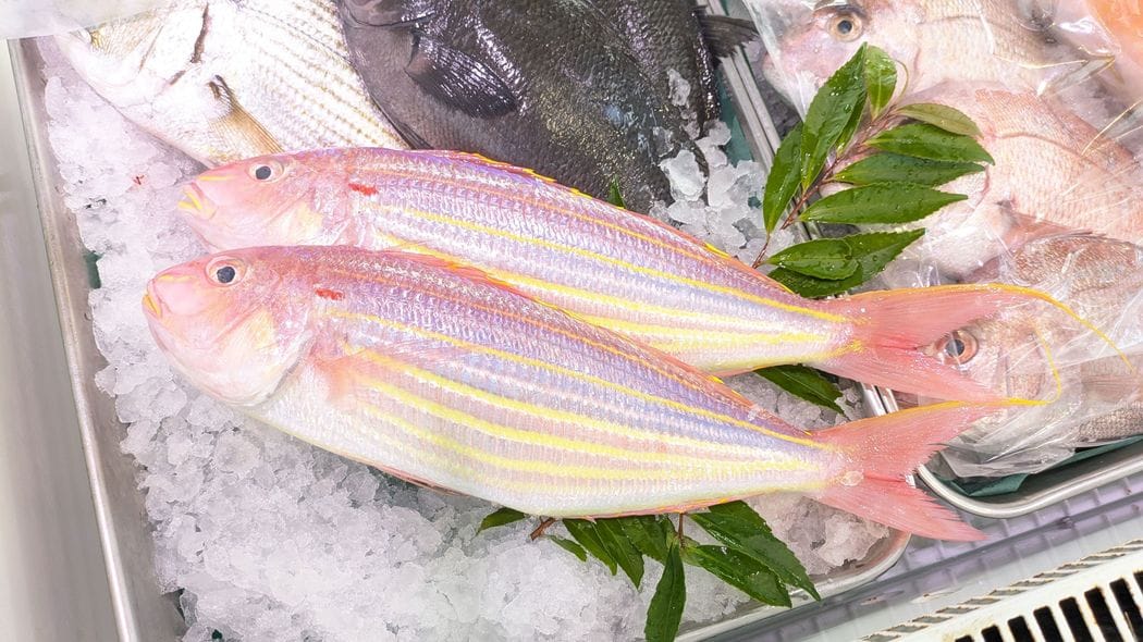 カルシウムでもビタミンCでもない…骨密度と認知機能に直結｢98%の日本人が不足する栄養素｣を取れる食材 肉に偏った食生活では基準値を突破できない