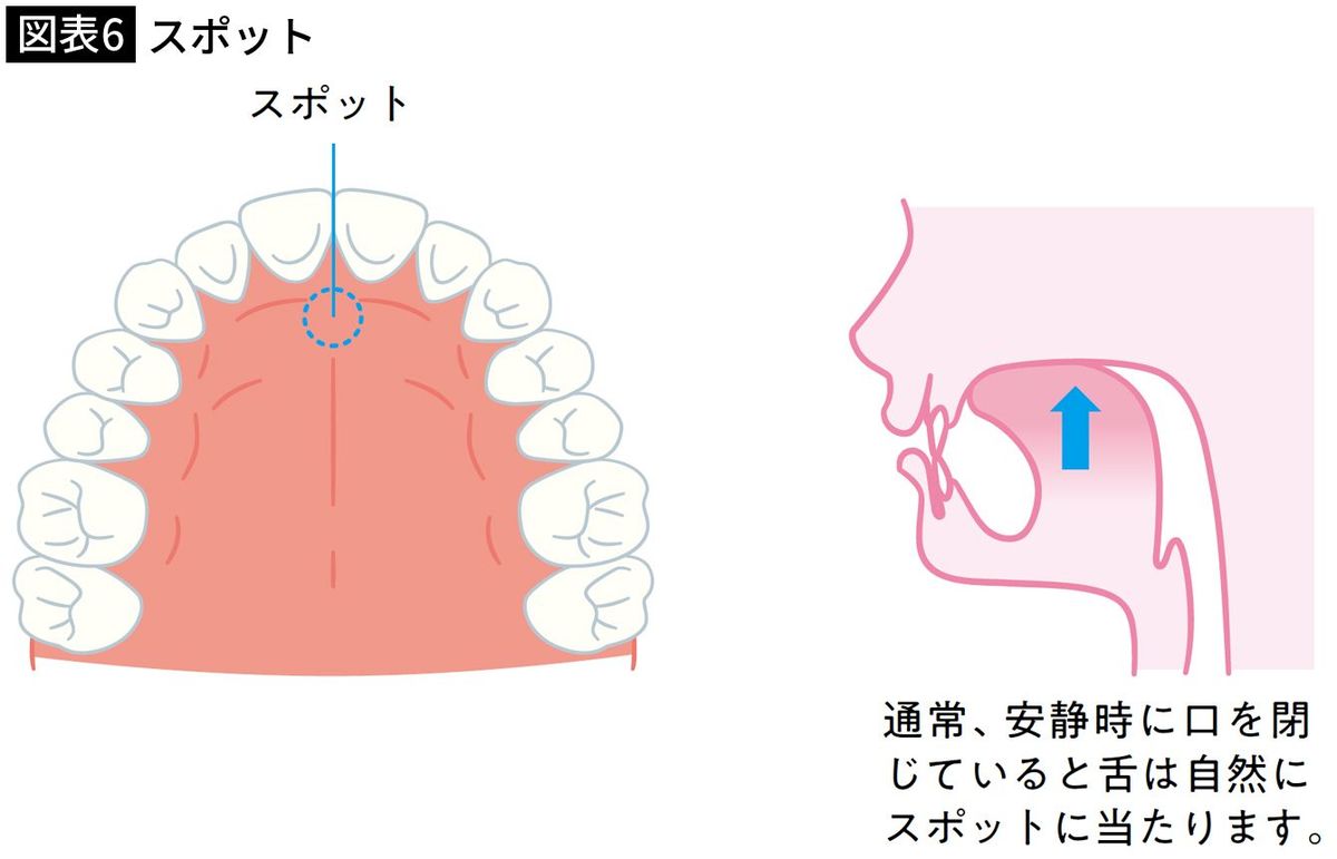 【図表6】スポット