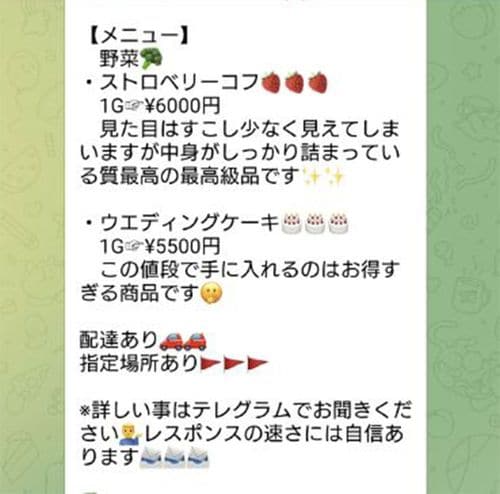 【写真2】テレグラムのチャット画面