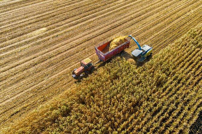 アメリカ、インディアナ州のトウモロコシ収穫の様子