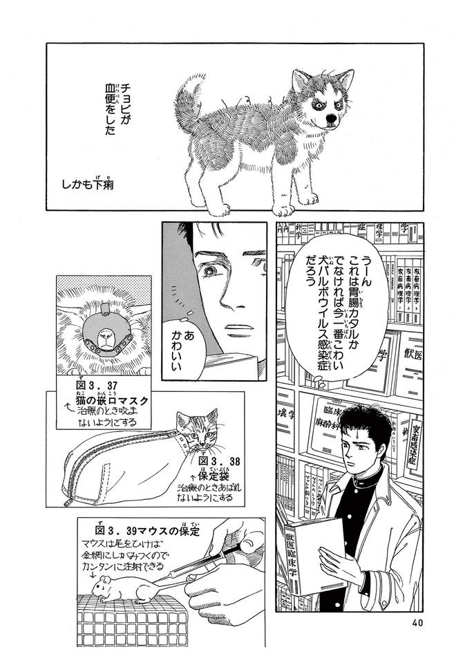 『新装版 動物のお医者さん』©佐々木倫子/小学館