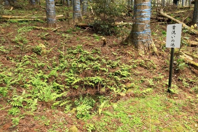 首洗池