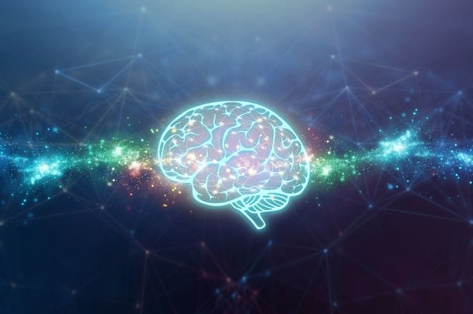 脳のネットワークのイメージ